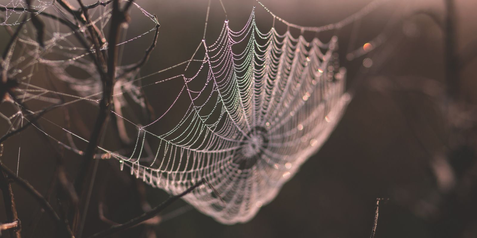 [Перевод] Потоки в Node 10.5.0: практическая часть