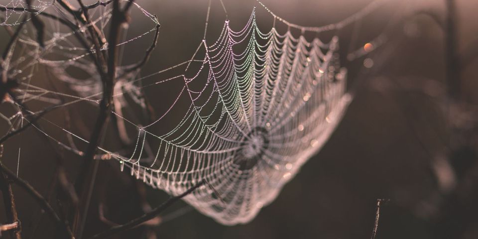 [Перевод] Потоки в Node 10.5.0: практическая часть