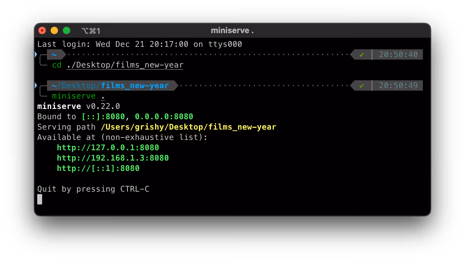 Вывод miniserve в терминале